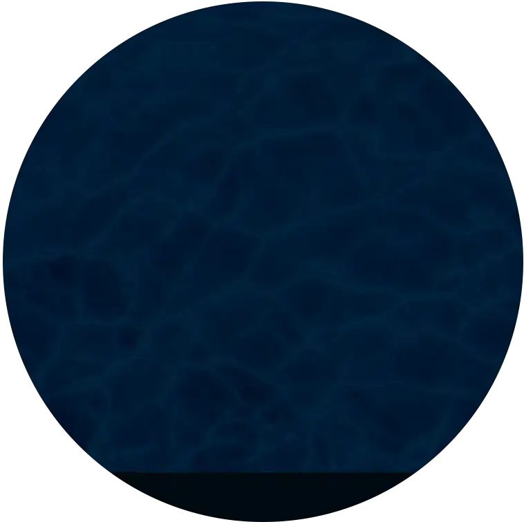 save_blue img